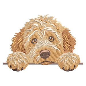 Goldendoodle broderidesign, söt Golden Doodle hundbroderifil Labradoodle Cockapoo Golden Doodle husdjur maskinbroderi