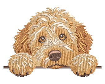 Puede incluir: Un diseño bordado de un perro doodle de color marrón dorado con pelaje rizado, ojos de color marrón oscuro y nariz oscura. El perro aparece apoyando sus patas delanteras sobre una línea horizontal, con la cabeza inclinada hacia adelante en un patrón de puntadas detallado.