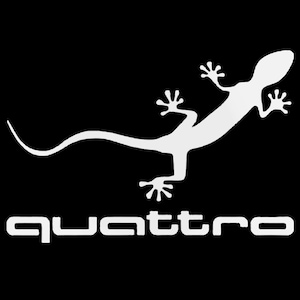May include: White lizard silhouette above the word "quattro" in a bold, sans-serif font, set against a black background. The lizard is detailed with visible feet and a long tail. A graphic design element.
