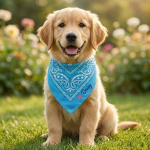 May include: A golden retriever puppy wearing a light blue bandana with a white paisley design and the name "Daisy" printed on it. The dog is sitting on green grass in front of a blurred background of flowers.