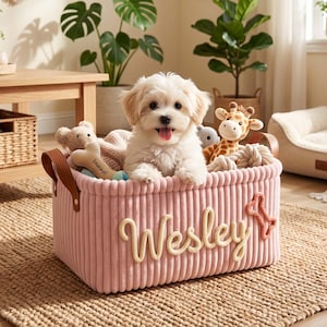 Puede incluir: Una cesta de almacenamiento rectangular de pana rosa con asas de cuero marrón. El nombre Wesley está bordado en hilo color crema en la parte frontal, junto a un pequeño aplique naranja con forma de hueso. Un cachorro blanco está sentado dentro.