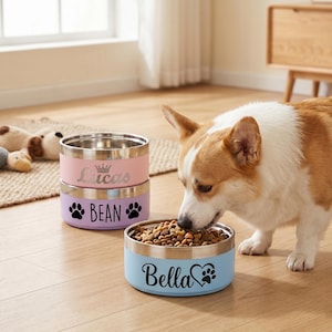 May include: Three round stainless steel pet bowls with colored exteriors. The top bowl is pink with the name Lucas and a crown. The middle bowl is lavender with the name Bean and paw prints. The bottom bowl is light blue with the name Bella and a heart.