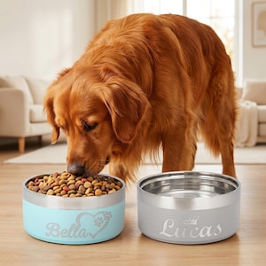 May include: A light blue pet bowl engraved with the name Bella and a heart with paw prints, filled with brown kibble, next to a grey pet bowl engraved with the name Lucas and a crown icon. Both bowls feature a metallic silver rim.