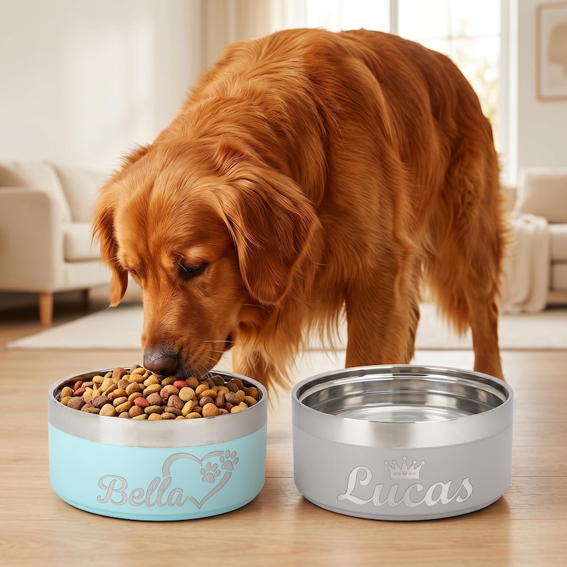 May include: A light blue pet bowl engraved with the name Bella and a heart with paw prints, filled with brown kibble, next to a grey pet bowl engraved with the name Lucas and a crown icon. Both bowls feature a metallic silver rim.