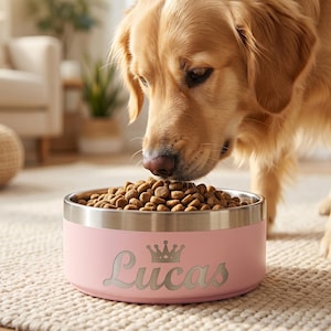 May include: A light pink stainless steel pet bowl filled with brown dry kibble. The exterior of the bowl features a silver-toned crown icon above the name Lucas in a cursive script font. The bowl has a smooth, matte finish and a metallic rim.