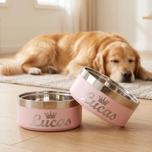 May include: Two light pink pet bowls with a metallic silver interior rim. Each bowl features the name Lucas in a cursive script font, accompanied by a small crown icon above the text. The bowls are constructed with a smooth, matte exterior finish.