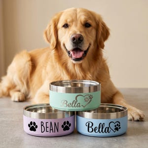 May include: Three stainless steel pet bowls with colored exteriors. One mint green bowl features the name Bella with a heart and paw print. One lavender bowl displays the name BEAN with two paw prints. One light blue bowl shows the name Bella with a heart and paw print.