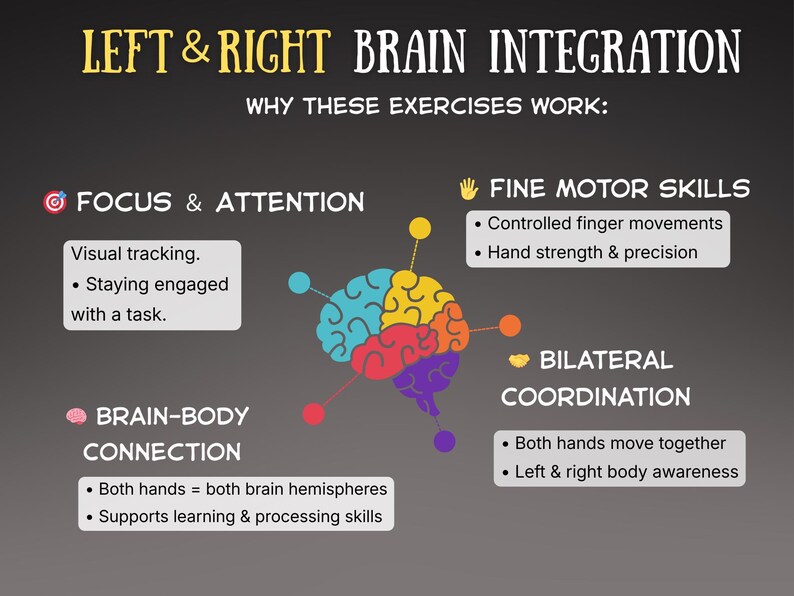 Bilateral Brain Exercises for Focus & Coordination | Fine Motor ...