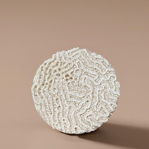 Presse-papier en corail fossilisé