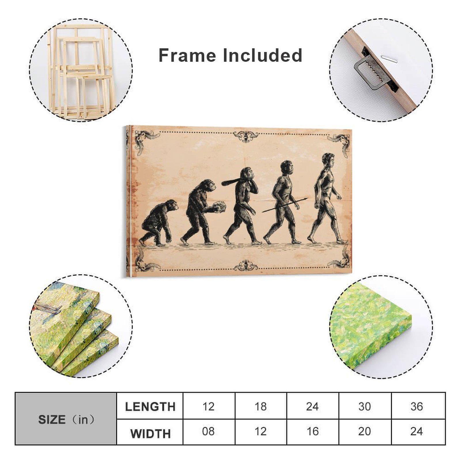 Vintage Human Evolution Art Print Retro Anatomy Wall Decor Primitive to ...