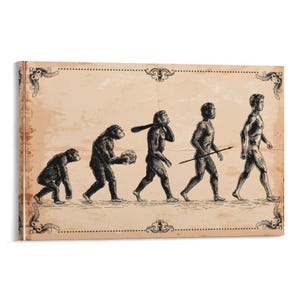 May include: A canvas print depicting the evolution of humans, from ape-like figures to modern humans. The artwork is in black and white, set against a tan background with decorative borders. The figures are shown in a walking sequence.