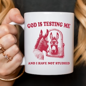 May include: White ceramic mug with a red illustration of a donkey looking in a mirror. The text "GOD IS TESTING ME AND I HAVE NOT STUDIED" is printed on the mug.
