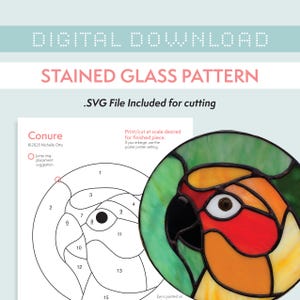 May include: Digital download stained glass pattern featuring a colorful parrot design. Includes an .SVG file for cutting. The pattern shows a detailed outline with numbered sections and a jump ring placement suggestion.