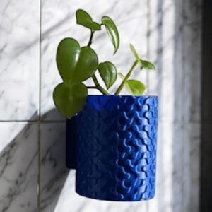 May include: A cobalt blue, textured wall planter holding a small green plant. The cylindrical planter is mounted on a white tiled wall. The plant features heart-shaped leaves.