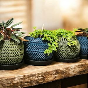 Puede incluir: Cuatro macetas redondas decorativas con intrincados patrones similares a tejidos. Las macetas son en tonos verdes y azules, cada una con plantas verdes vibrantes. Se asientan sobre una superficie de madera oscura, creando una estética natural y terrosa. Las macetas tienen aproximadamente 15 cm de diámetro.