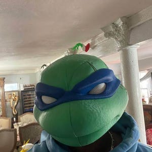May include: A green Teenage Mutant Ninja Turtle mask featuring a blue eye mask covering the eyes. The mask has a smooth, rounded surface with white mesh eye openings and is worn over a blue hooded sweatshirt, covering the head and upper face area.