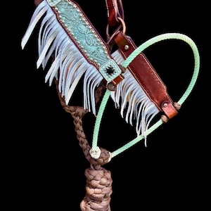 May include: A detailed close-up of a horse halter. The halter features a turquoise leather strap with a floral design, white fringe, and brown leather accents. A light green rope and a braided brown rope complete the design.