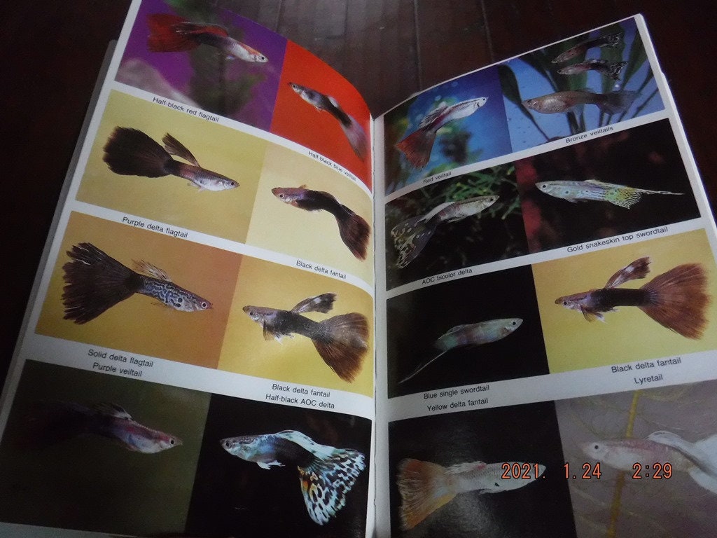 Dr. Axelrod's Atlas of Freshwater Aquarium Fishes 1987 Mini