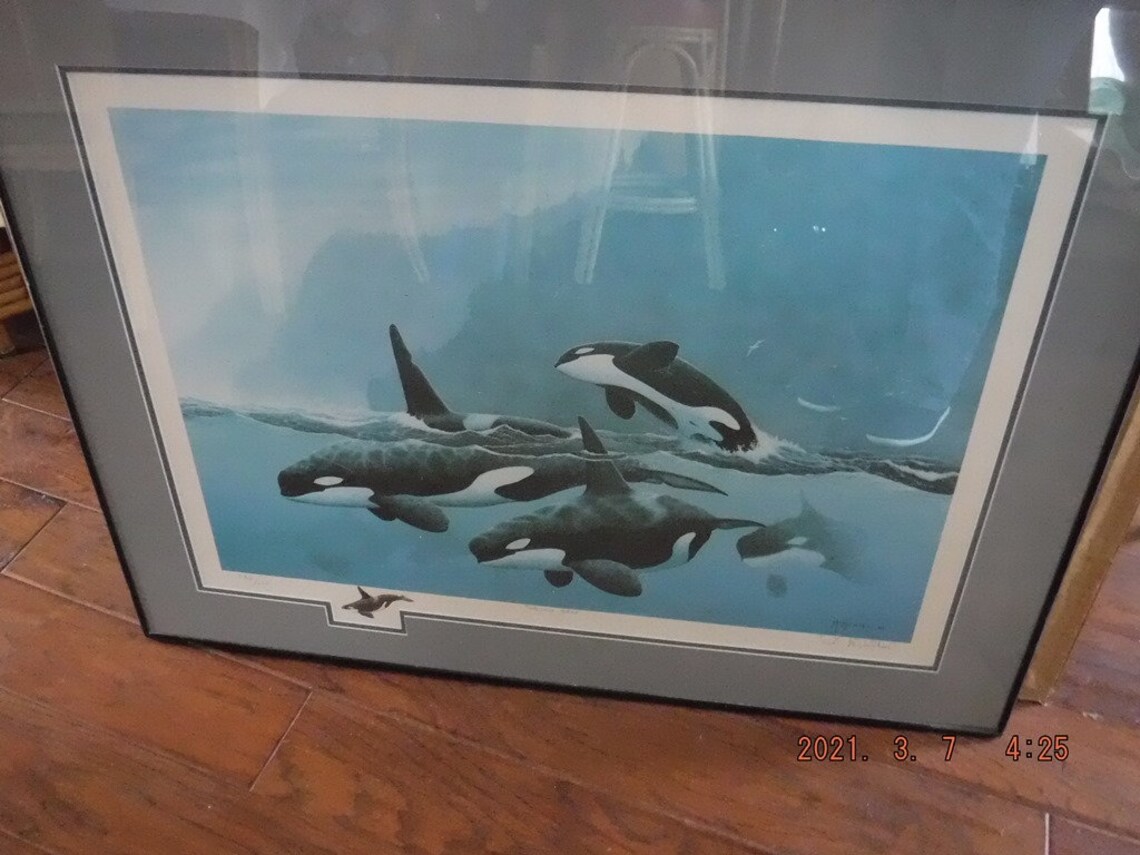 Orcinus Orca Don Mcmichael Limited Edition Offset Litho Small ...