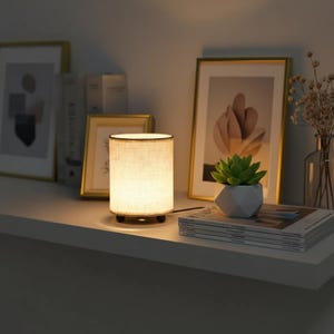 May include: A small, cylindrical table lamp with a linen shade, giving off a warm light. The lamp is on a shelf with framed art, a succulent in a geometric pot, and books. The lamp has a dark base and a visible power cord.