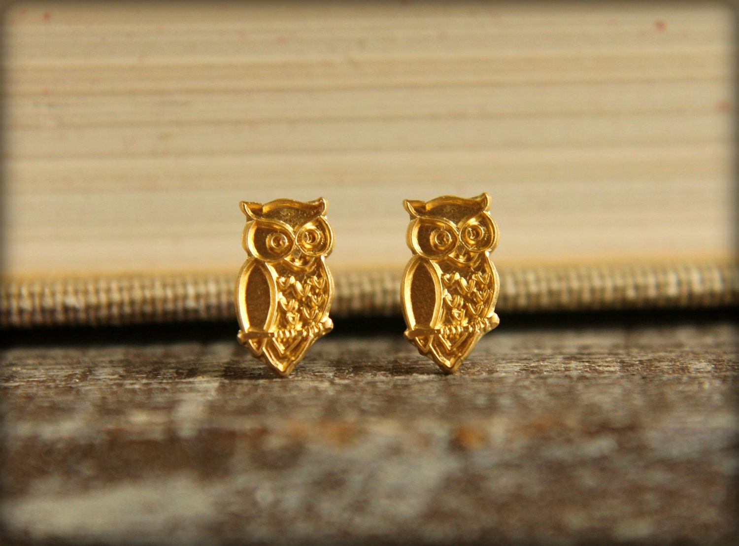 Wise Owl Earring Studs in Raw Brass, Stainless Steel Posts