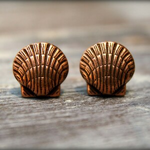 May include: A pair of copper-colored shell-shaped earrings. The earrings are small and have a detailed design.