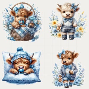 Baby Boy Highland Cow Watercolor Clipart Bundle – 50 PNG Transparent ...