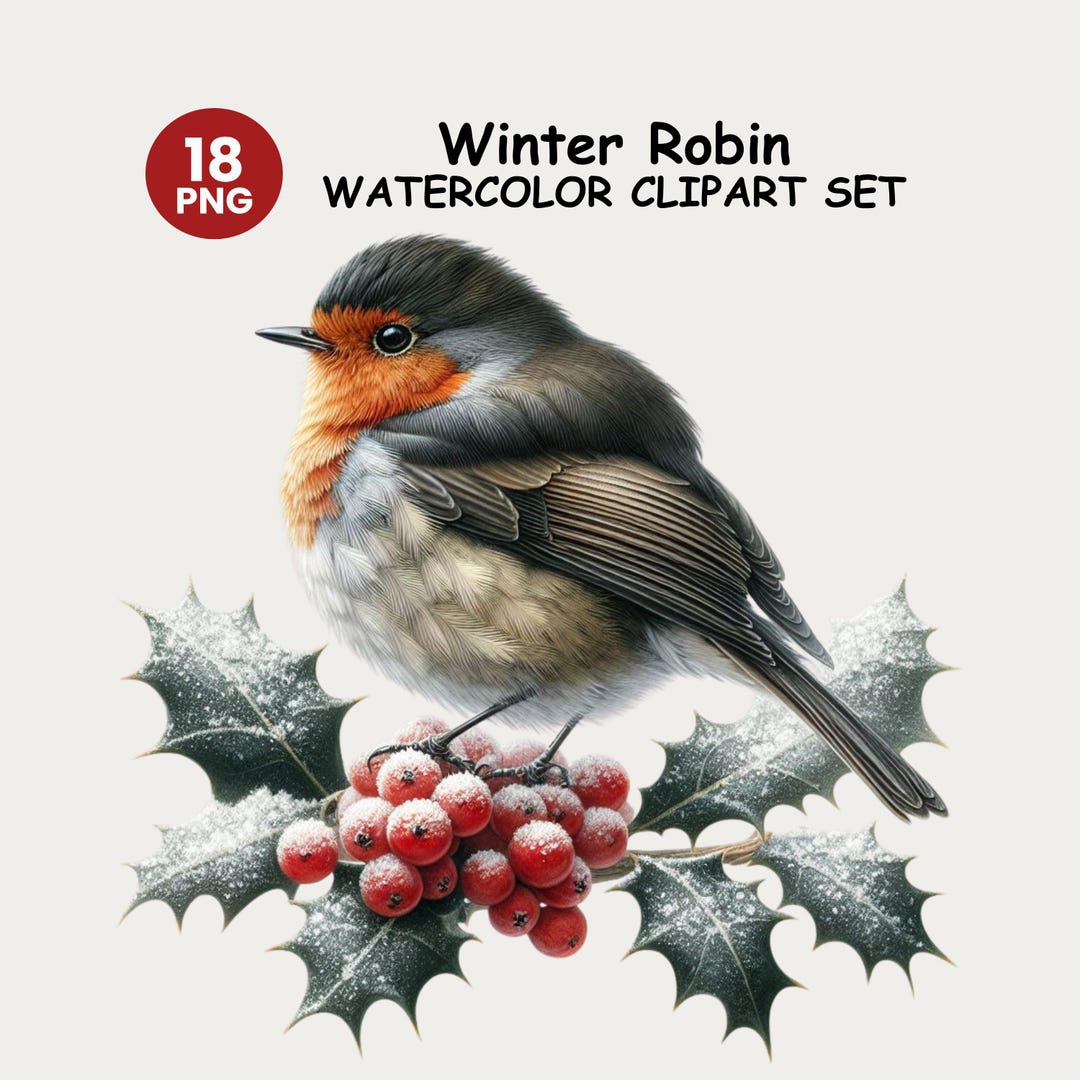 Winter Robin Watercolor Clipart Bundle, Christmas Bird Illustration for ...