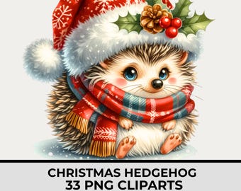 Christmas Hedgehog Watercolor Clipart, Cute Winter Hedgehog, 33 PNG, Transparent Background