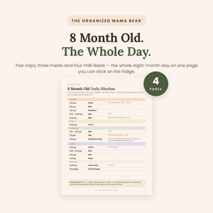 May include: A printable daily rhythm chart for an 8-month-old baby titled The Organized Mama Bear. The document outlines a schedule with morning, midday, afternoon, evening, and overnight sections, including times for naps, meals, and milk feeds.
