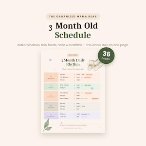May include: A 36-page printable 3 Month Old Schedule document titled The Organized Mama Bear. The page features a 3 Month Daily Rhythm chart with color-coded sections for morning, midday, afternoon, evening, and overnight routines, including wake windows, milk feeds, naps, and bedtime details.