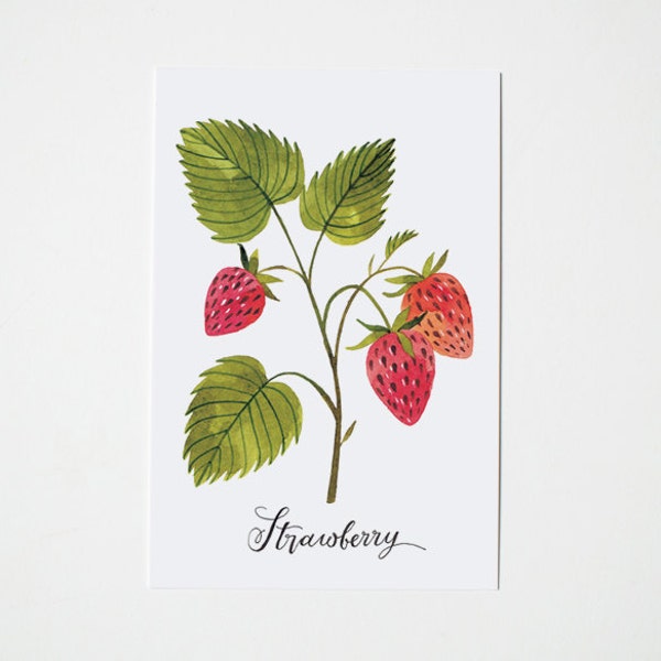 Strawberry postcard