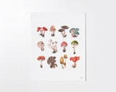 Mushroom Study - 8x10 art print