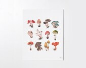 Mushroom Study - 8x10 art print