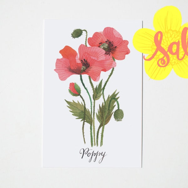 SALE  - Poppy postcard
