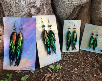 Rainbow Elytra Jewel Beetle Wing Earrings