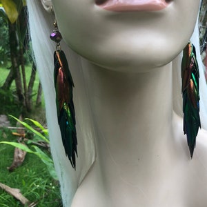 Rainbow Elytra Jewel Beetle Wing Earrings image 3