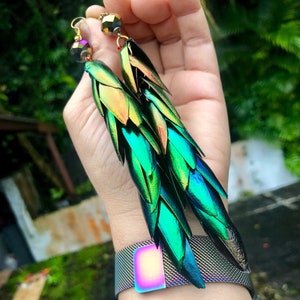 Rainbow Elytra Jewel Beetle Wing Earrings image 2