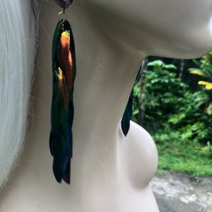 Rainbow Elytra Jewel Beetle Wing Earrings image 4