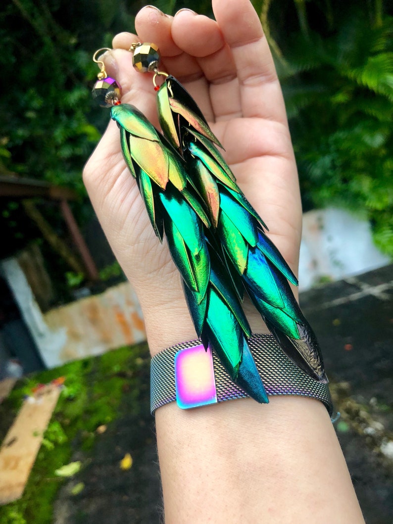 Rainbow Elytra Jewel Beetle Wing Earrings image 2