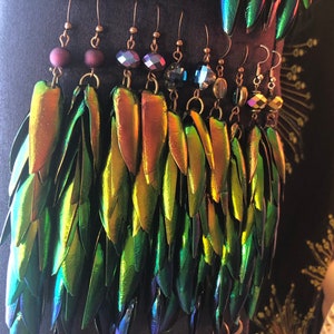 Rainbow Elytra Jewel Beetle Wing Earrings image 7