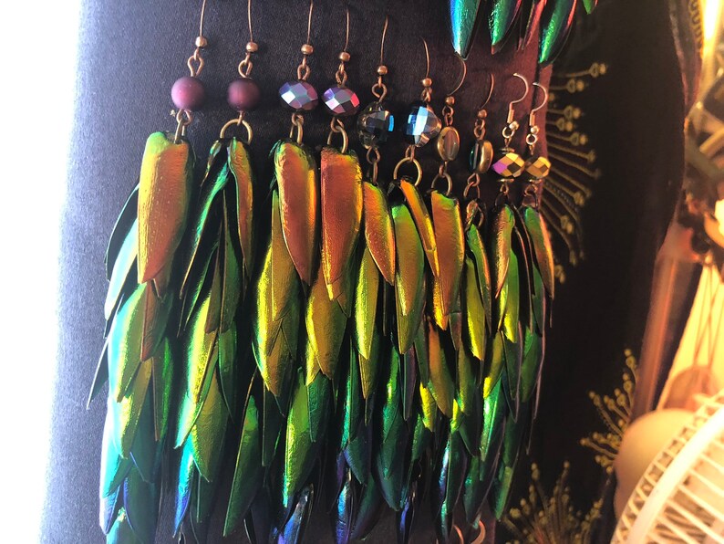 Rainbow Elytra Jewel Beetle Wing Earrings image 7