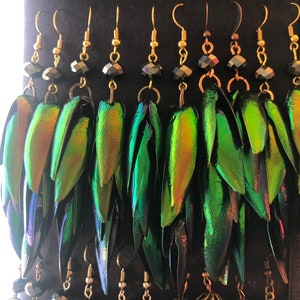 Rainbow Elytra Jewel Beetle Wing Earrings image 10