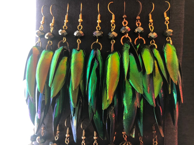 Rainbow Elytra Jewel Beetle Wing Earrings image 10