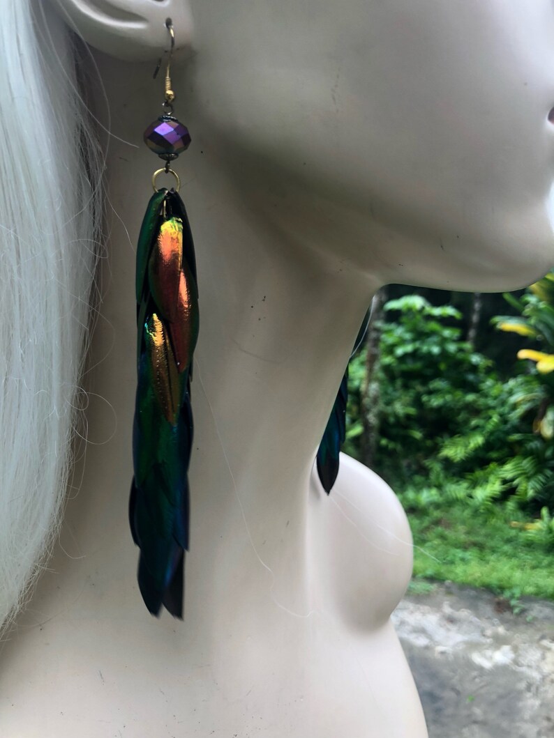 Rainbow Elytra Jewel Beetle Wing Earrings image 4