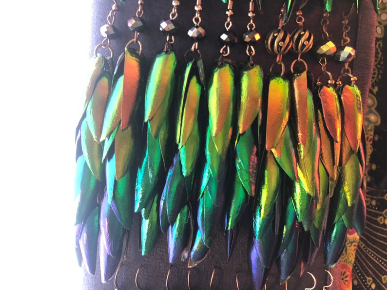 Rainbow Elytra Jewel Beetle Wing Earrings image 9