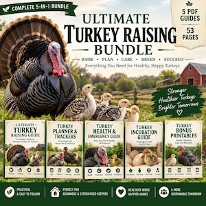 May include: A digital bundle featuring five PDF guides totaling 53 pages for raising turkeys. The cover displays a large adult turkey, several poults, and five individual guide covers titled Turkey Raising, Planner, Health, Incubation, and Bonus Printables.