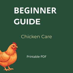 Guia de Criação de Galinhas em PDF – Manual para Iniciantes na Criação de Galinhas