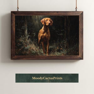 Antieke Vizsla kunst aan de muur, klassieke Hongaarse aanwijzer print, vintage jachthond schilderij, decor digitale download