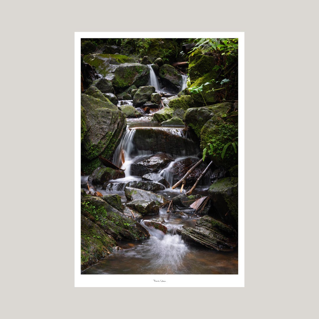 El Yunque Rocks Color Yunque Rocks | Museum Fine Art Giclée Print | Hahnemühle Photo Rag ...